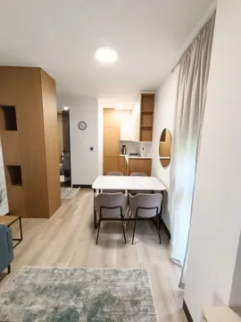 Izdavanje, jednosoban stan, 43m², Vezirov Most, Podgorica - image 4