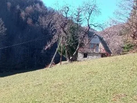 Sale, land lot, 99100m², Donja Bukovica, Šavnik - image 9