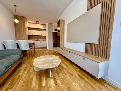 Rent, one bedroom apartment, 45m², Zabjelo, Podgorica - image 13