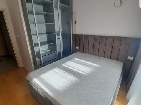 Izdavanje, jednosoban stan, 41m², Centar, Podgorica - image 4