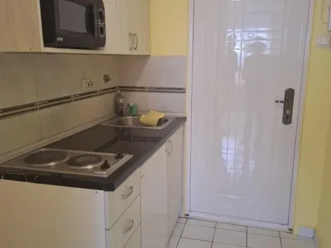 Izdavanje, garsonjera, 25m², Liman 3, Novi Sad Sve Podlokacije - image 3