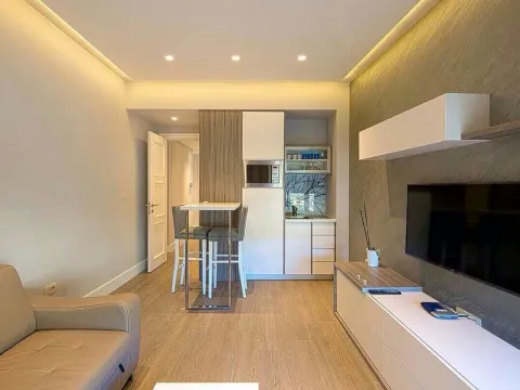 Rent, one bedroom apartment, 44m², Budva, Crna Gora - image 3