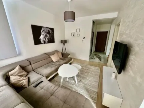 Prodaja, jednosoban stan, 40m², Zabjelo, Podgorica - image 5