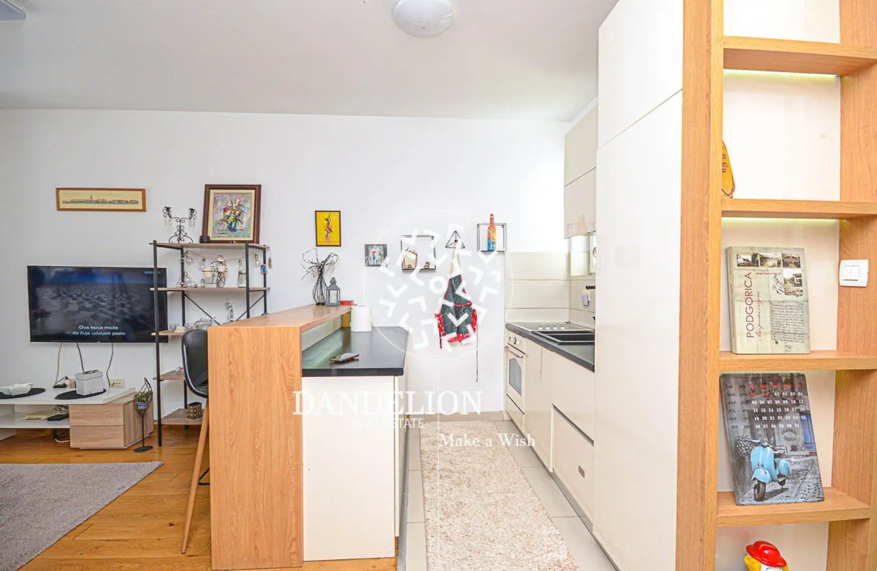 Rent, one bedroom apartment, 59m², Central Point, Podgorica