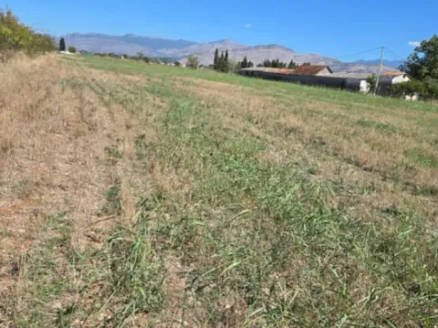 Prodaja, plac, 7000m², Zeta, Podgorica - image 9