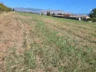 Prodaja, plac, 7000m², Zeta, Podgorica - image 9