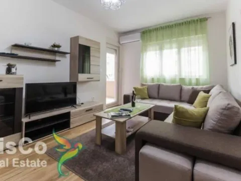 Izdavanje, jednosoban stan, 50m², Central Point, Podgorica - image 8