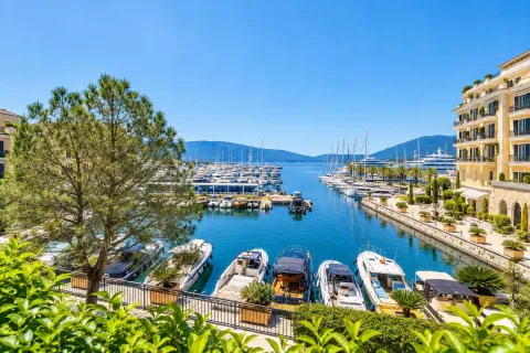 Pogled na marinu punu jahti i broova. - image 16