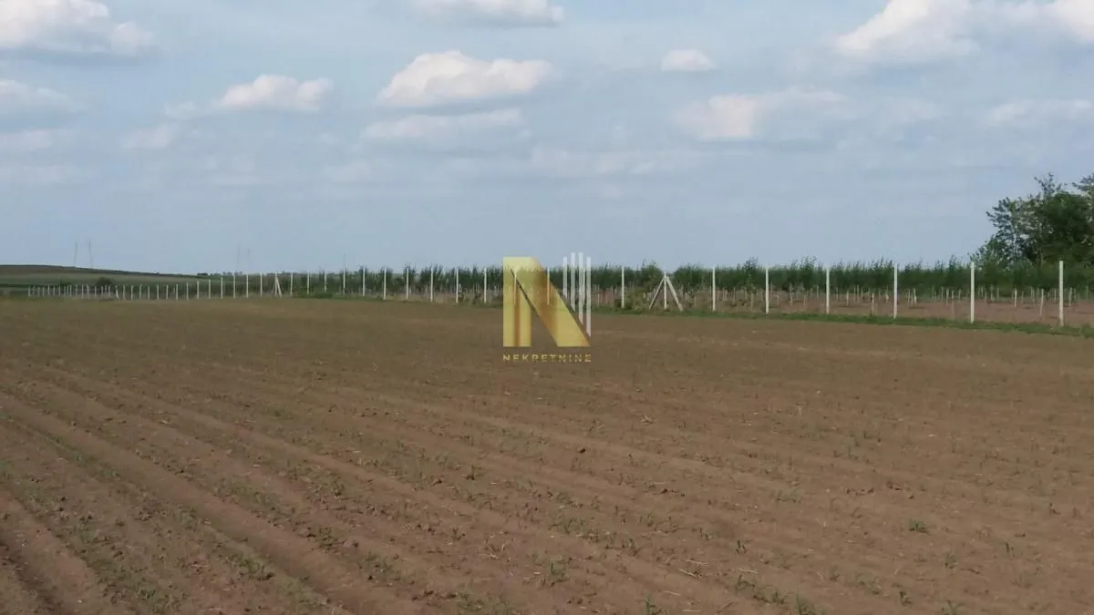 Prodaja, plac, 74000m², Žabalj, Srbija