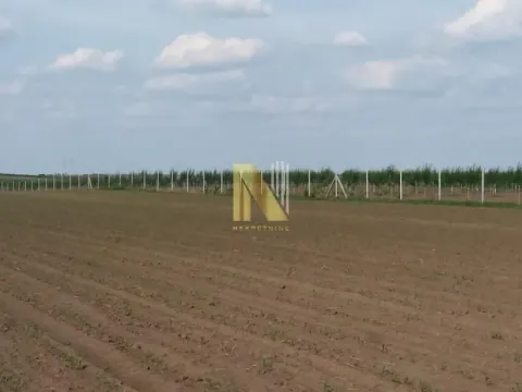 Prodaja, plac, 74000m², Žabalj, Srbija - image 7