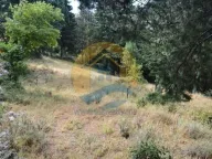 Sale, land lot, 1200m², Dobrota, Kotor - image 3