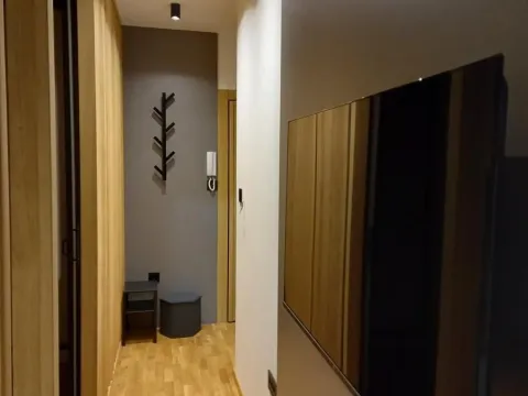 Izdavanje, jednosoban stan, 33m², Telep, Novi Sad Sve Podlokacije - image 11