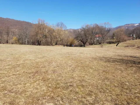 Prodaja, plac, 18000m², Drijenak, Kolašin - image 5
