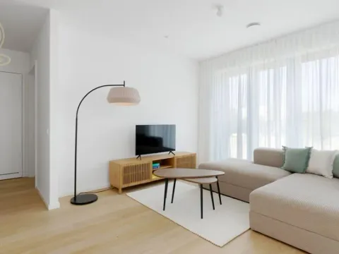 Izdavanje, dvosoban stan, 60m², Stari Grad, Beograd - image 3