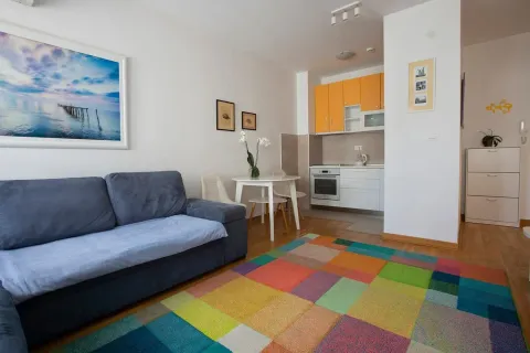 Rent, one bedroom apartment, 47m², City Kej, Podgorica - image 8