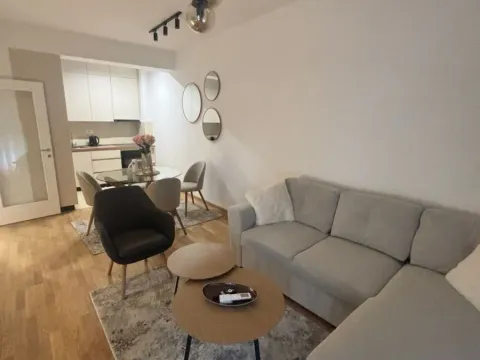 Izdavanje, jednosoban stan, 45m², Zabjelo, Podgorica