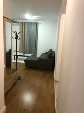 Rent, one bedroom apartment, 59m², Central Point, Podgorica - image 308