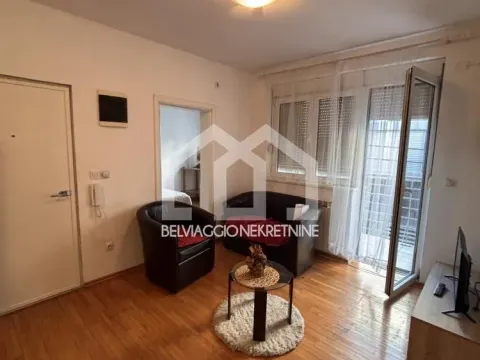 Izdavanje, dvosoban stan, 45m², Vračar Hram, Vračar Sve Podlokacije - image 14