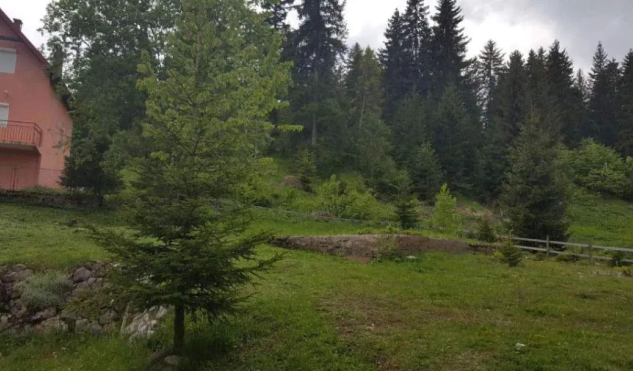 Prodaja, plac, 451m², Žabljak, Crna Gora