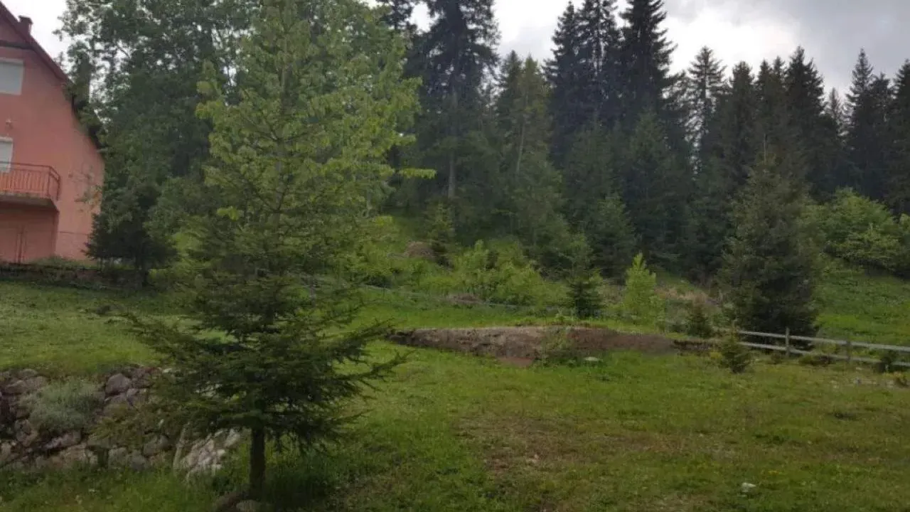 Prodaja, plac, 451m², Žabljak, Crna Gora