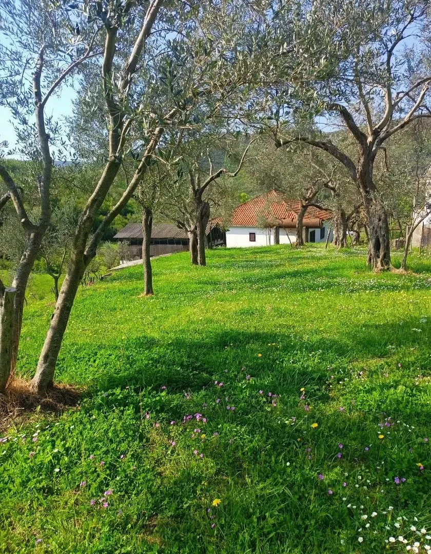 Prodaja, plac, 10172m², Ulcinj, Crna Gora
