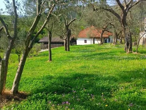 Prodaja, plac, 10172m², Ulcinj, Crna Gora - image 6