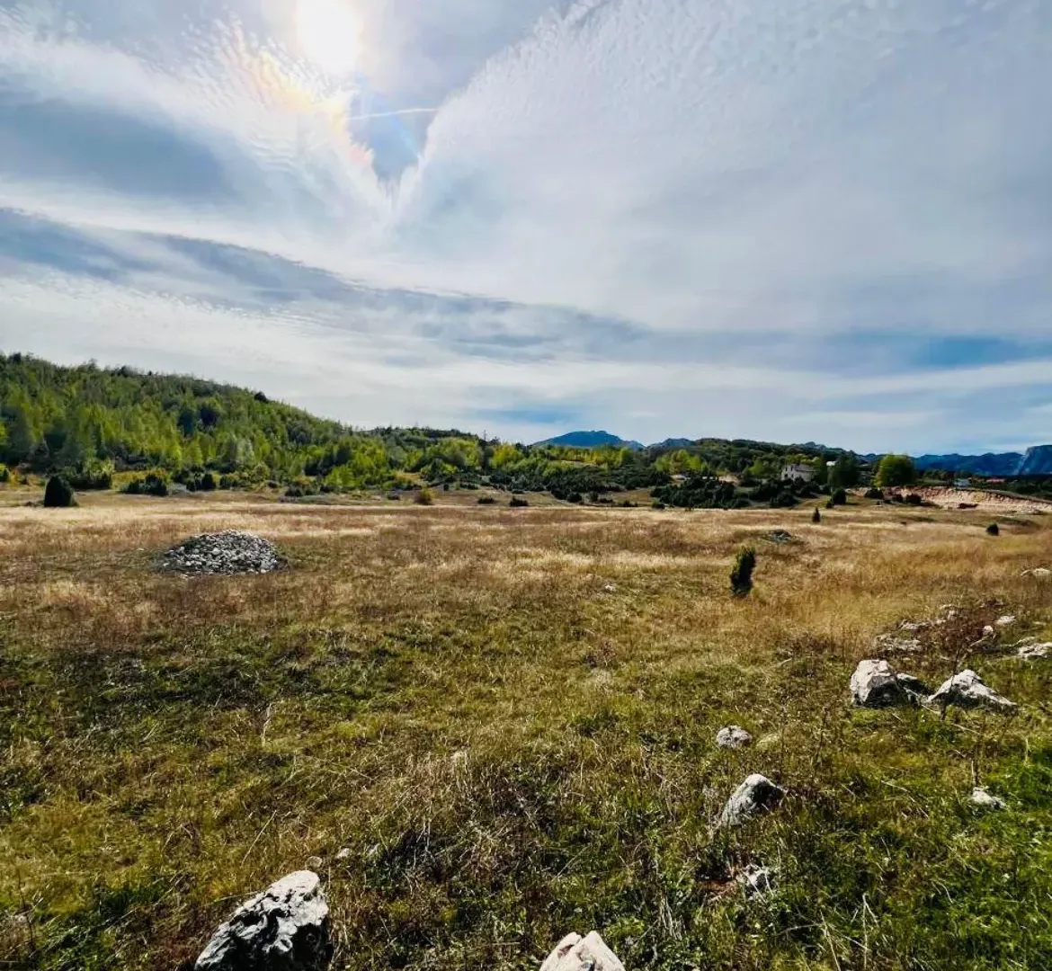 Prodaja, plac, 45556m², Borje, Žabljak - Mehr