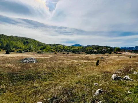 Prodaja, plac, 45556m², Borje, Žabljak - image 8