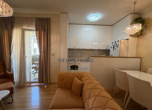 Rent, one bedroom apartment, 44m², Blok 6, Podgorica