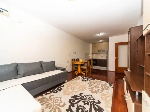 Rent, one bedroom apartment, 45m², Stari Aerodrom, Podgorica - image 2