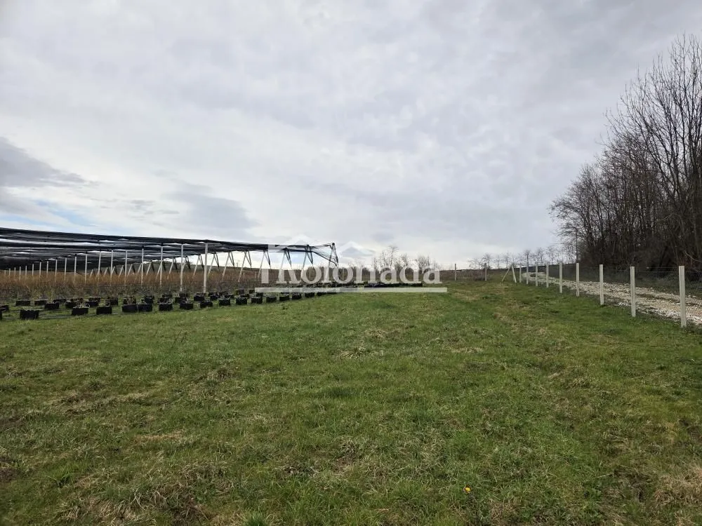 Prodaja, plac, 14500m², Sopot, Beograd