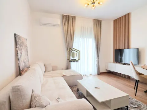 Rent, one bedroom apartment, 43m², Vezirov Most, Podgorica - image 2
