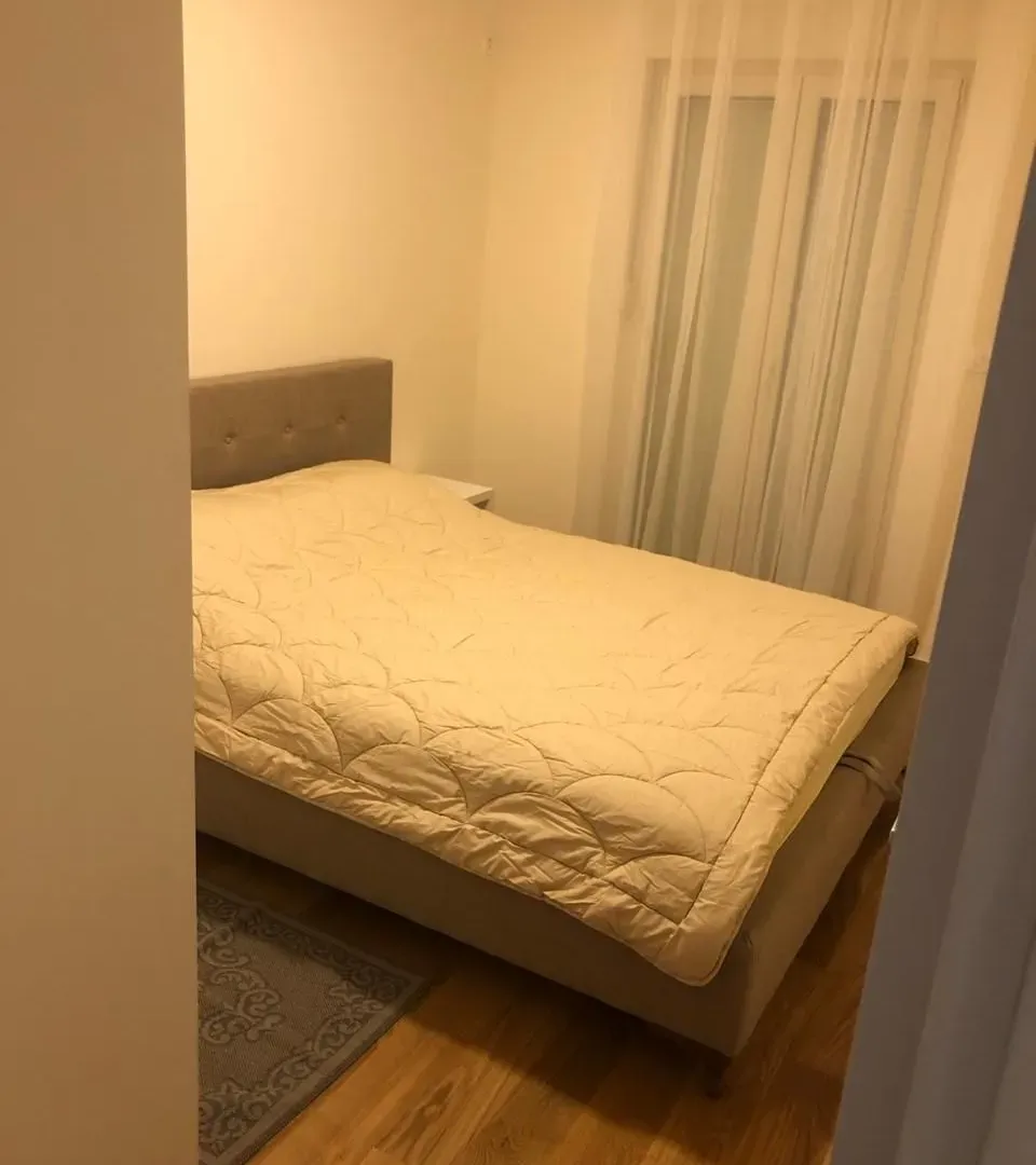Rent, one bedroom apartment, 47m², Central Point, Podgorica