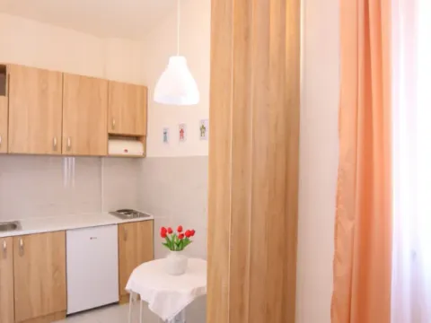 Sale, two bedroom apartment, 41m², Liman 2, Novi Sad Sve Podlokacije - image 12