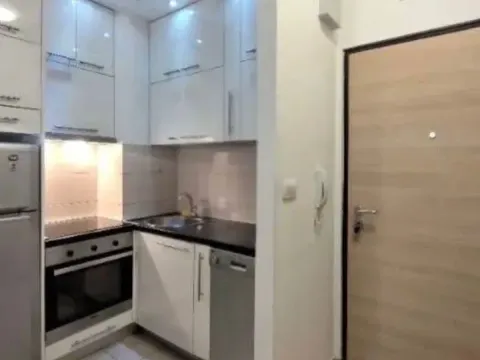 Rent, one bedroom apartment, 42m², Ljubović, Podgorica - image 8