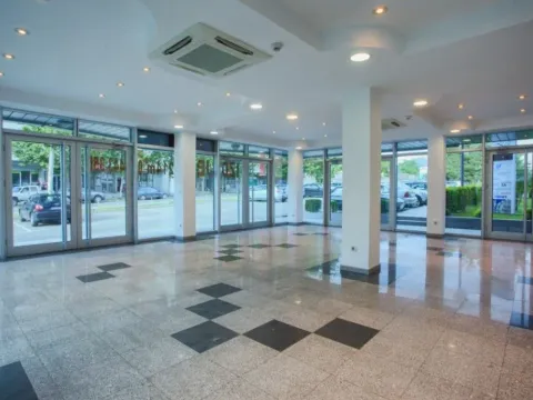 Rent, office space, 214m², Autobuska stanica, Podgorica - image 2