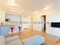 Izdavanje, dvosoban stan, 50m², Novi Beograd Blok 67, Novi Beograd Sve Podlokacije - image 1