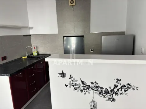 Rent, two bedroom apartment, 57m², Banovo Brdo, Beograd - image 4