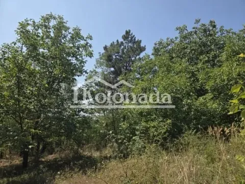 Prodaja, plac, 2100m², Sopot, Beograd - image 4