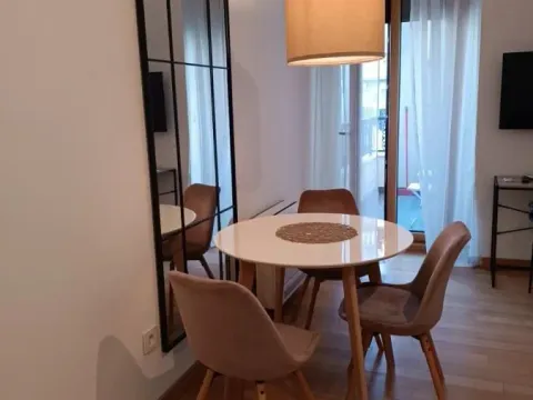 Rent, two bedroom apartment, 39m², Grbavica, Novi Sad Sve Podlokacije - image 5