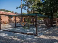 Prodaja, poslovni prostor, Ostalo, Podgorica - image 16