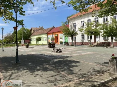 Prodaja, kuća, 354m², Uzdin, Kovačica - image 15