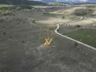 Prodaja, plac, 550m², Borje, Žabljak - image 3