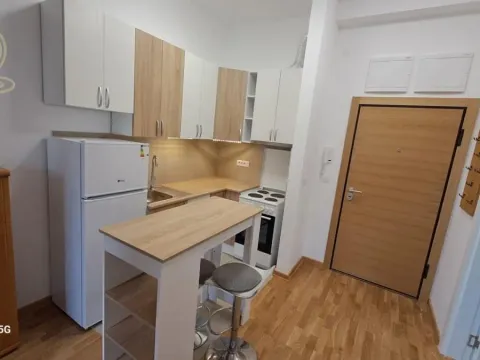 Izdavanje, garsonjera, 27m², Telep, Novi Sad Sve Podlokacije - image 1