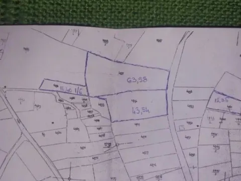 Sale, land lot, 10800m², Baničina, Smederevska Palanka - image 3