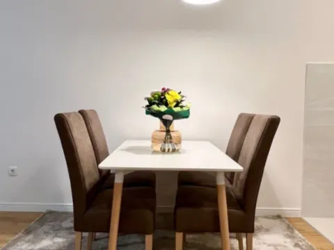 Izdavanje, jednosoban stan, 49m², Central Point, Podgorica - image 5