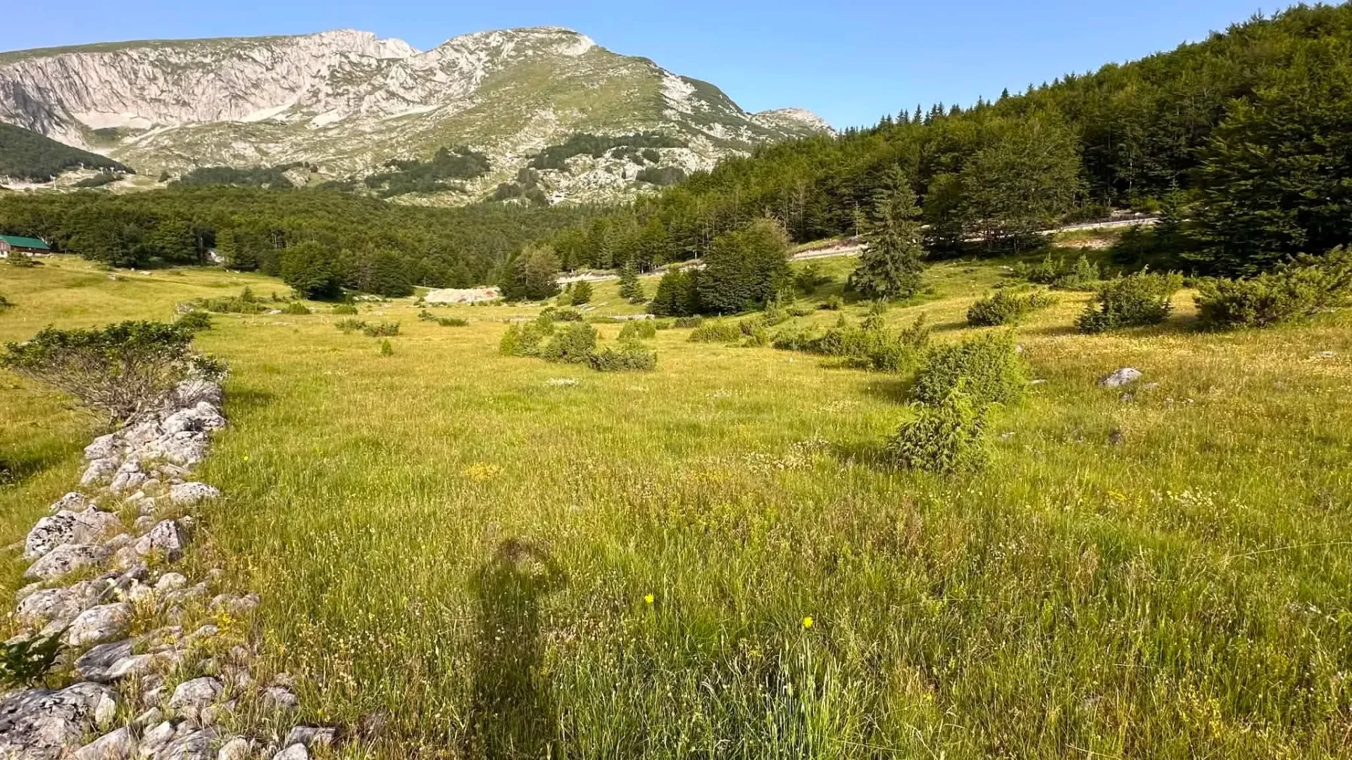 Prodaja, plac, 2500m², Motički gaj, Žabljak