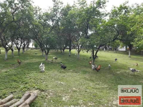 Sale, house, 334m², Beočin, Srbija - image 16