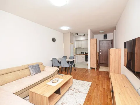 Rent, apartment, 45m², Stari Aerodrom, Podgorica - image 3