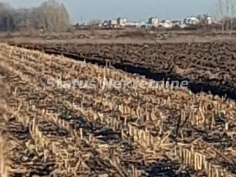 Prodaja, plac, 12100m², Futog, Novi Sad Sve Podlokacije - image 8